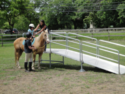 Horse Mounting Ramp