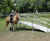 Horse Mounting Ramp