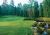 Fairway Scene Fairway Scene