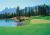 Golf Scene Golf Scene