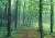 Path Scene Path Scene