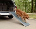 Telescoping Dog Ramp