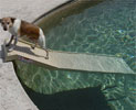 Pet Step Pet Ramp Pool Legs Kit