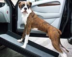 SideKick Portable Pet Ramp