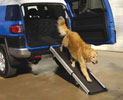 Telescoping Dog Ramps