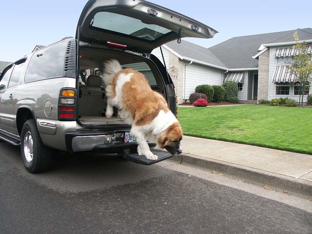 Auto Hitch Step