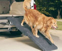 Double Telescoping Dog Ramps