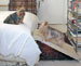 Pet Step Half Step Dog Ramp