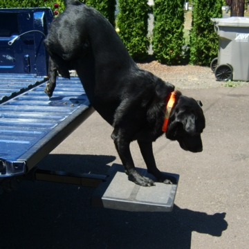 Auto Hitch Step