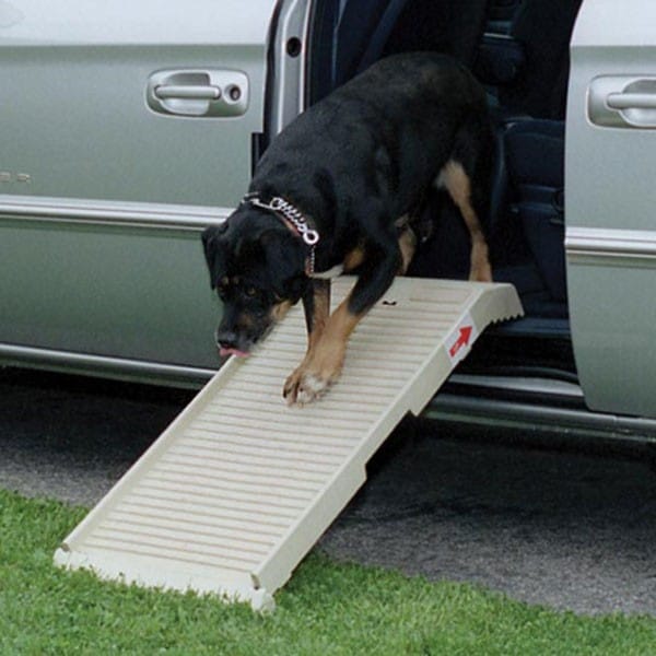 petstep ramp