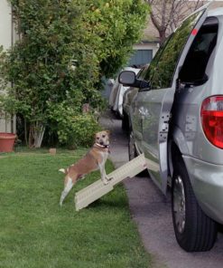 petstep original folding pet ramp