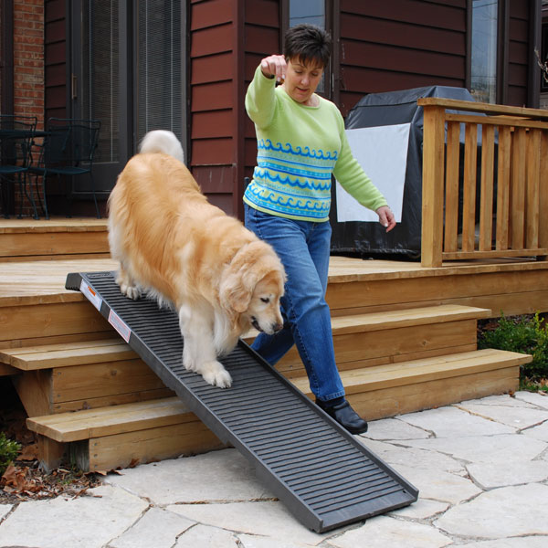 dog ramp to go over stairs