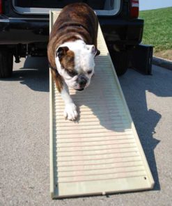 suv with dog ramp
