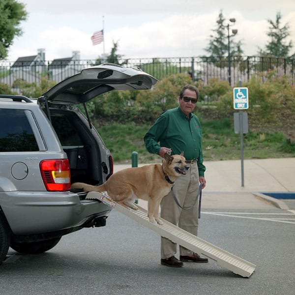 used dog ramp